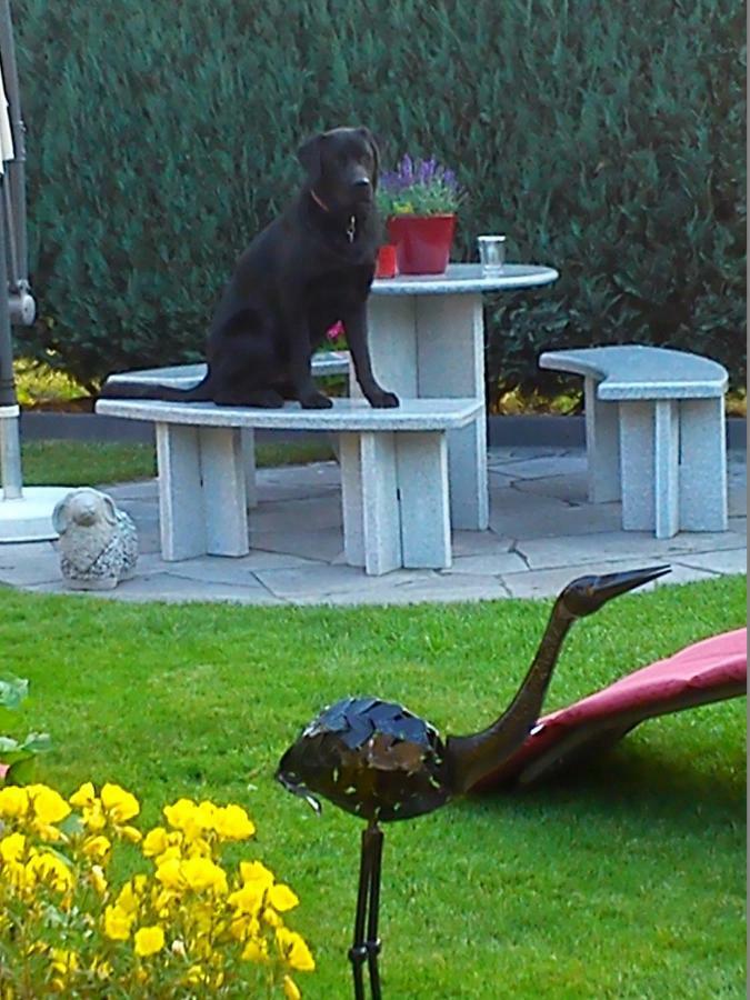 Schmitz Homestay Anschau