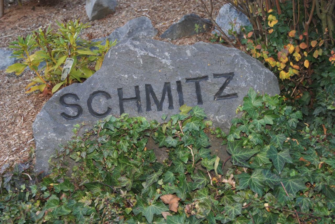 Schmitz Anschau